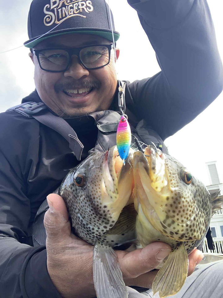 Angler holding two spotted bay bass caught on a Submission Fishing Sumo Rainbow micro slow pitch jig.